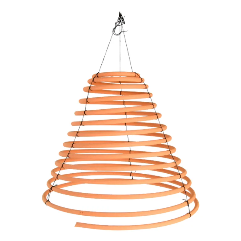 Spirale à la citronnelle