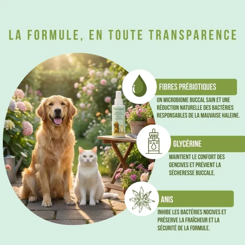 Spray dentaire chien & chat 100% naturel, hygiène, haleine, plaque, anti tarte