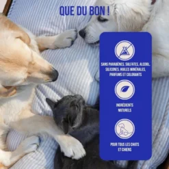 Spray dentaire chien & chat 100% naturel, hygiène, haleine, plaque, anti tarte