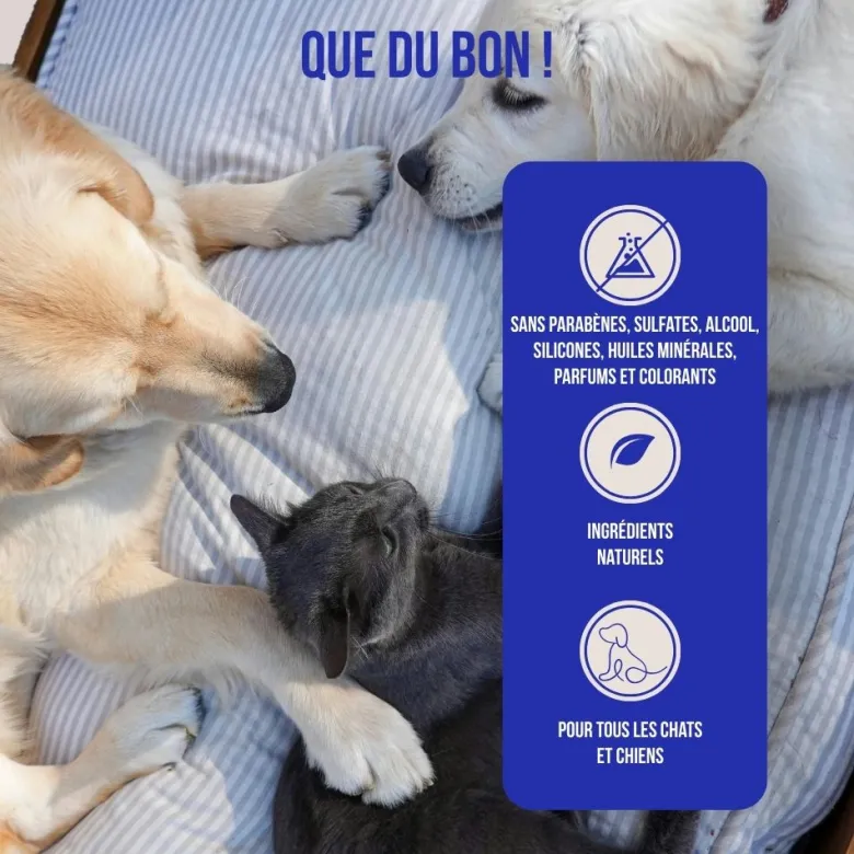 Spray dentaire chien & chat 100% naturel, hygiène, haleine, plaque, anti tarte