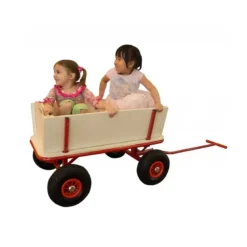 Sunny chariot beach wagon billy rouge
