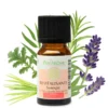 Synergie d'huile essentielle revitalisante