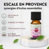 Synergie he escale en provence