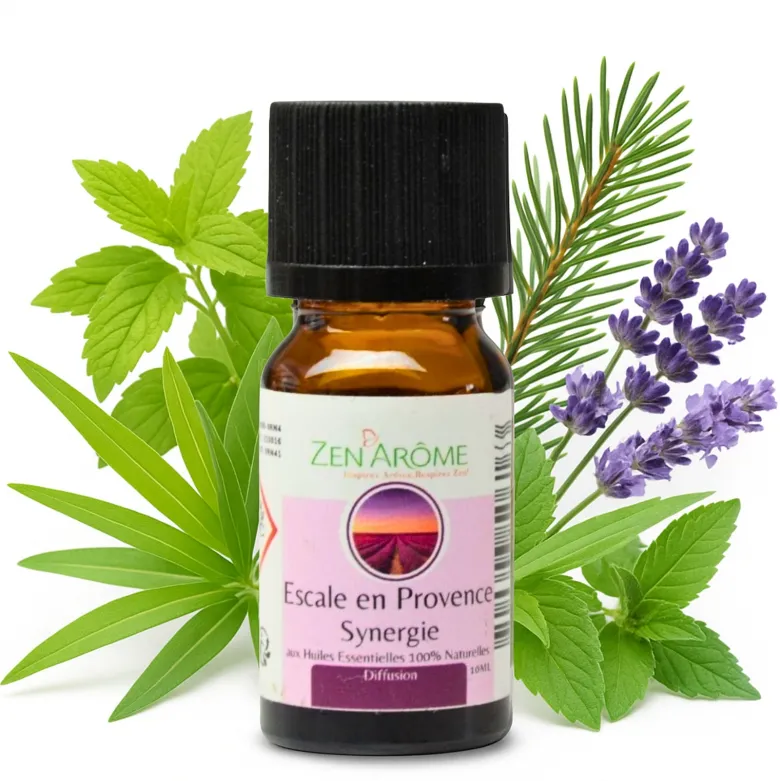 Synergie he escale en provence