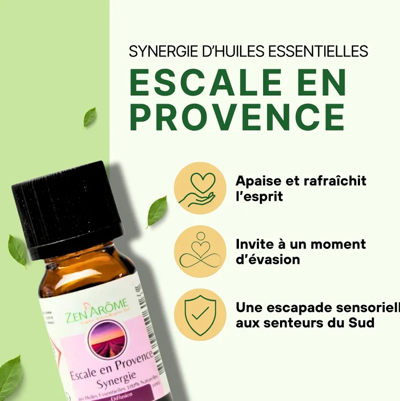 Synergie he escale en provence