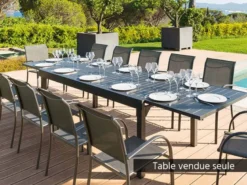 Table extensible rectangulaire alu piazza 10 12 places graphite - hespéride