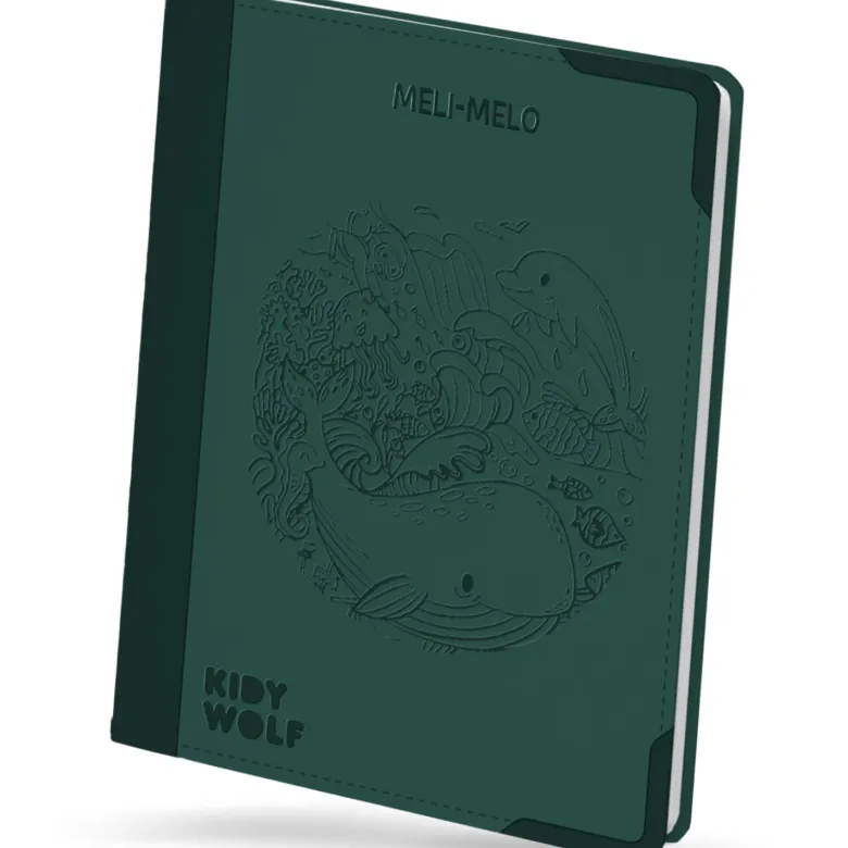 Tablette lumineuse avec dessins à décalquer kidydraw meli-melo (10 ans et+)