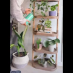Étagère modulaire pour plantes en couleur écorce de pin à 6 plateaux