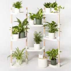 Étagère plantes blanche 8 arrosage auto