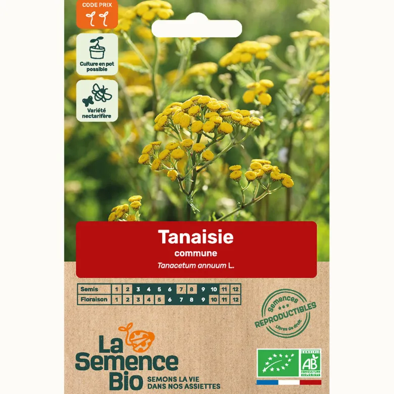 Tanaisie commune - graines bio