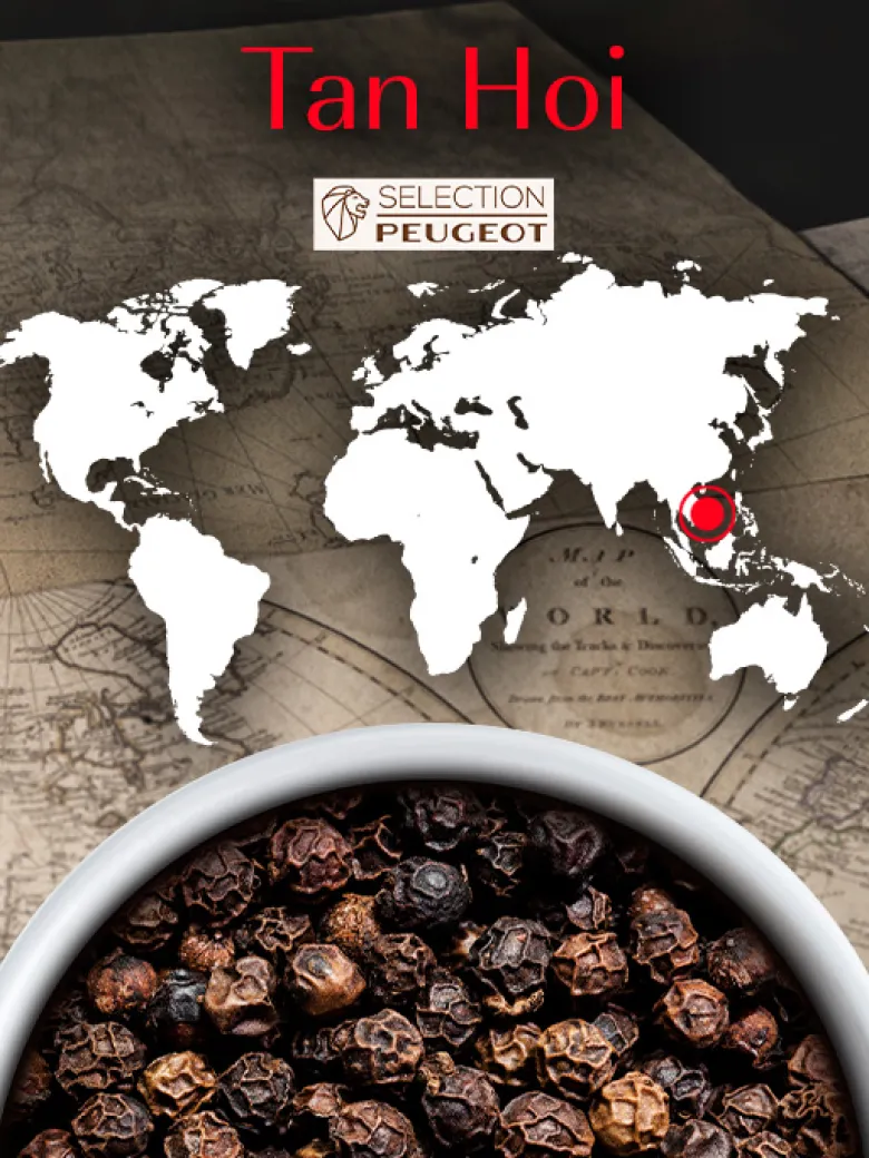 Tan hoi poivre noir du vietnam, 80g -