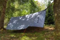 Tarp bee dry