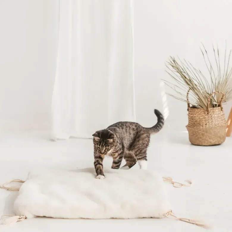 Tente tipi pour chats chiens et lapins avec tapis en fausse fourrure medium ecru