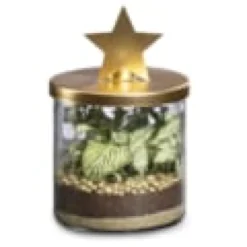 Terrarium bougeoir doré