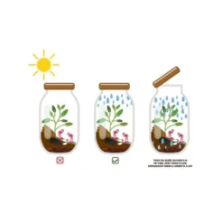 Terrarium à faire soi même - fougères et