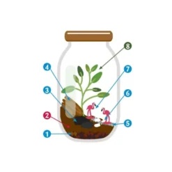 Terrarium à faire soi même - fougères et