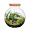 Terrarium Havana bocal en verre bouchon en liège
