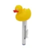 Thermomètre flottant canard piscine