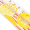Thermomètre intérieur et extérieur décoratif Dolce Vita édition limitée