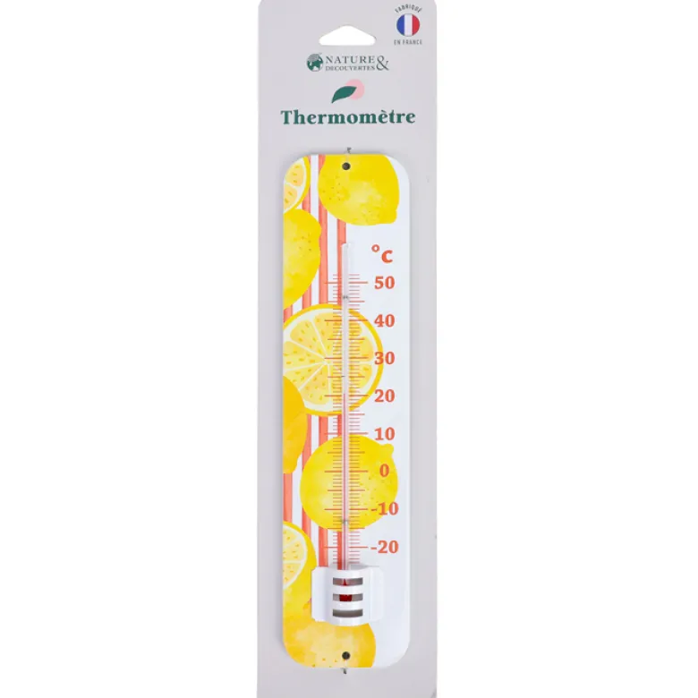 Thermomètre intérieur et extérieur décoratif Dolce Vita édition limitée