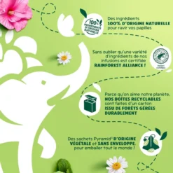 Théière elephant mystère + 120 sachets