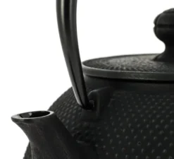 Théière fonte iwachu arare noire 1200 ml