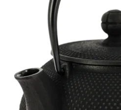 Théière fonte iwachu arare noire 650 ml