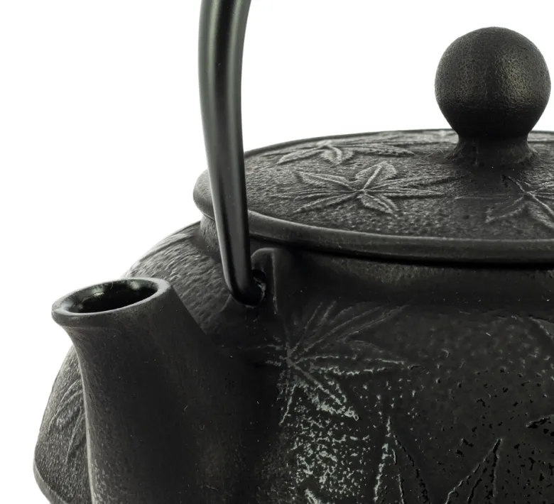 Théière fonte iwachu kaede noire 650 ml