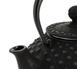 Théière fonte iwachu kanbin noire 320 ml