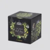 Thé noir earl grey bergamote bio*