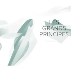 Thérapie du corps