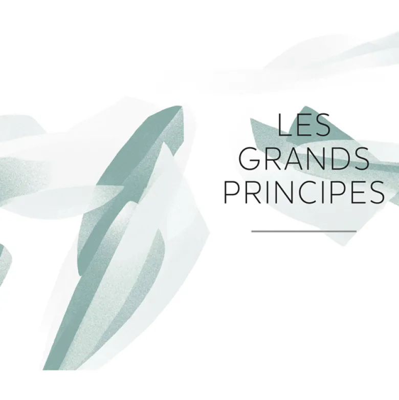 Thérapie du corps