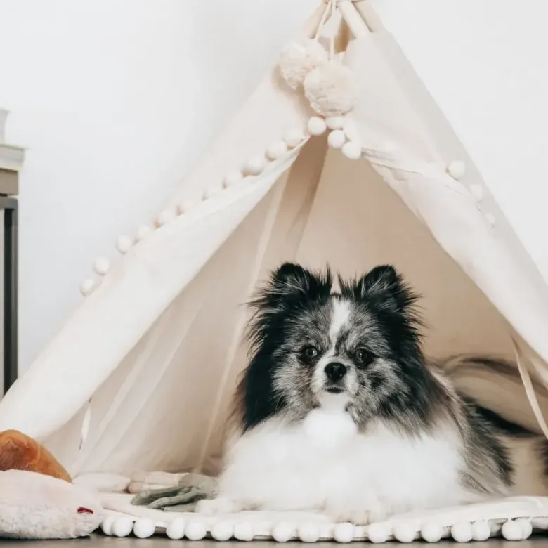 Tipi pour chien & grande tente pour chat avec pompons ecru