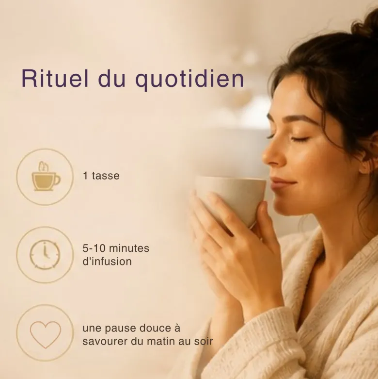 Tisane bio focus – infusion basilic, gingembre & orange pour clarté d’esprit
