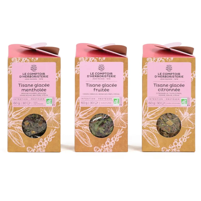 Tisane glacée fruitée bio