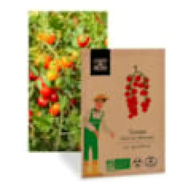 Tomate cerise miel du mexique - graines bio