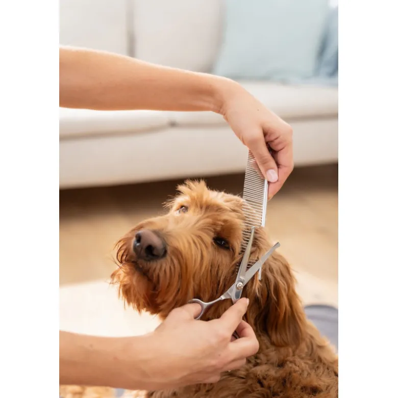 Tondeuse pour animaux fluffy - love your pet beurer - pp 110