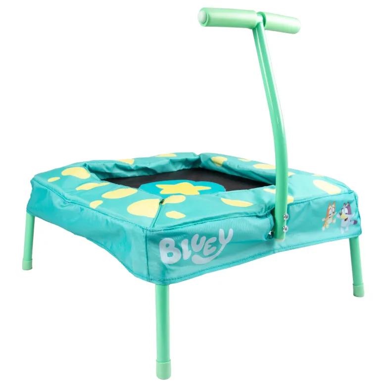 Trampoline bluey