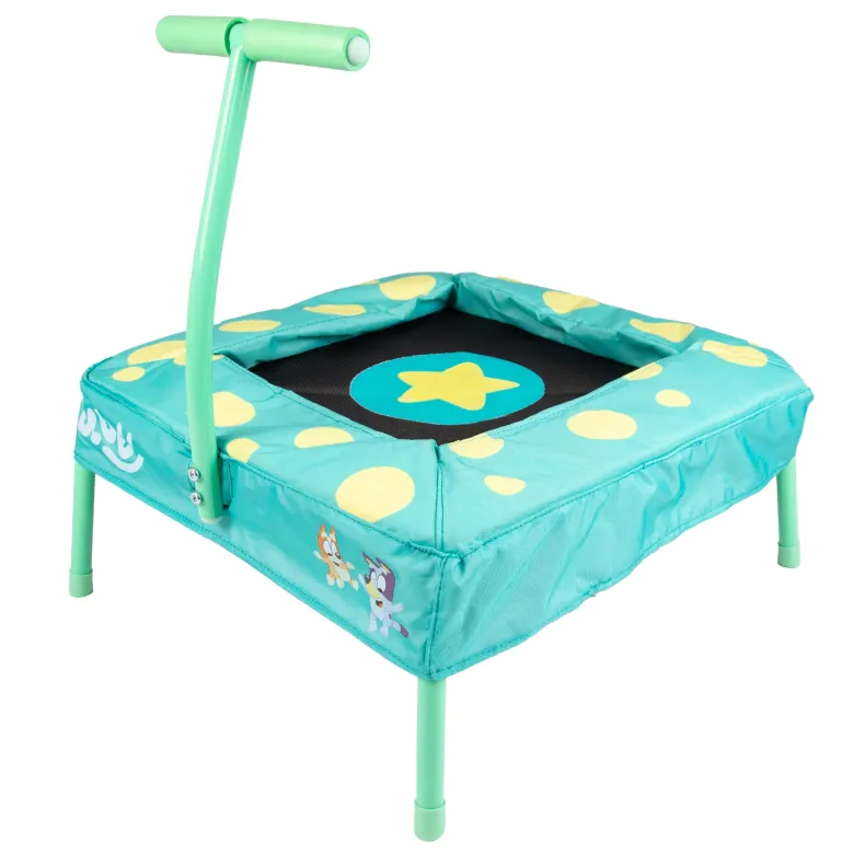 Trampoline bluey