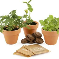 Trio de plantes extraordinaires