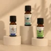 Trio de synergies prêtes à diffuser zenitude, relaxante & purifiante