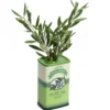 Vase huile d'olive en dolomite Dolce Vita