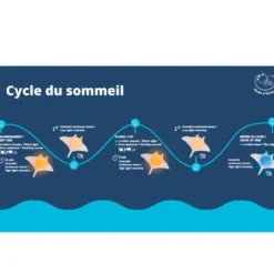 Veilleuse peluche raie musicale et lumineuse Dodo Dreamer