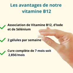 Vitamine b12 + iode et sélénium - énergie et système nerveux