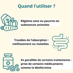 Vitamine b12 + iode et sélénium - énergie et système nerveux