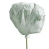Voile d'hivernage plantes 2mx10m