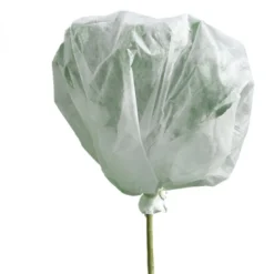 Voile d'hivernage plantes 2mx10m