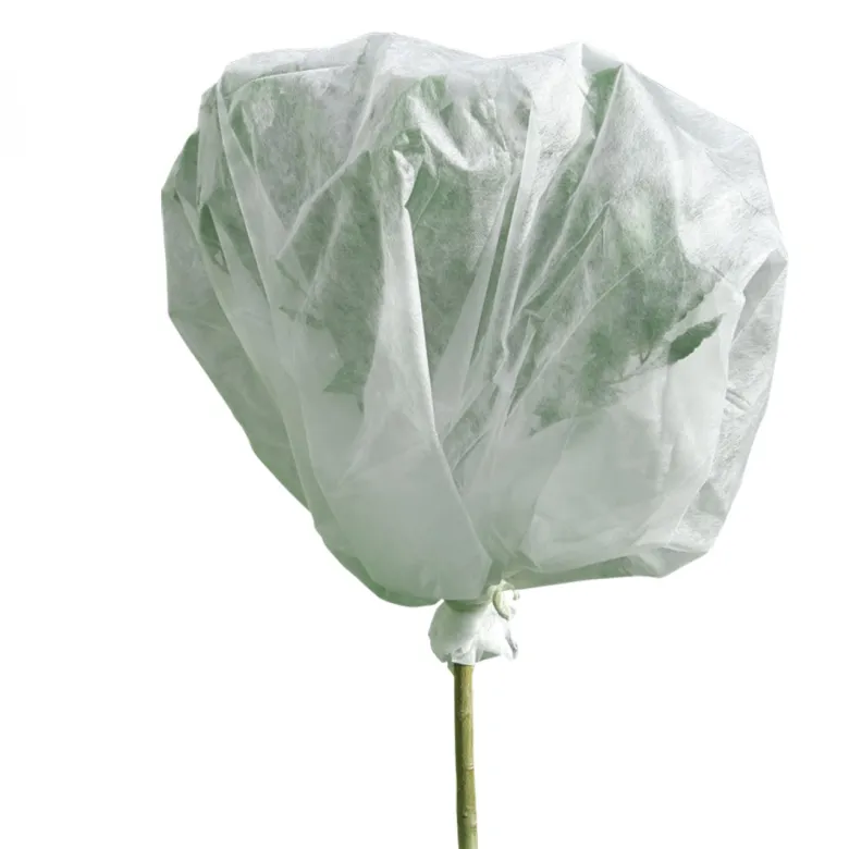 Voile d'hivernage plantes 2mx10m