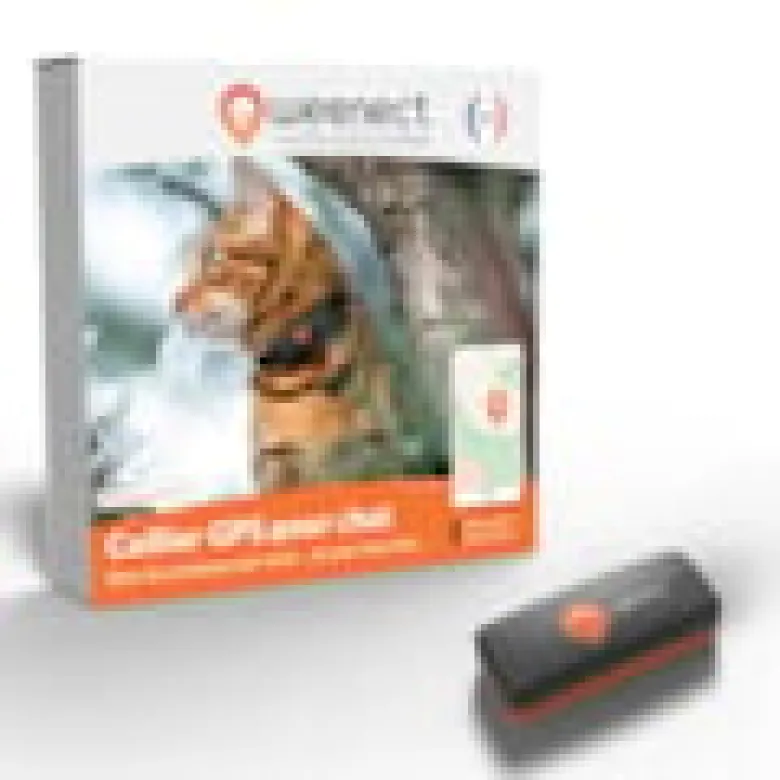 Weenect chat xs - collier gps pour chat