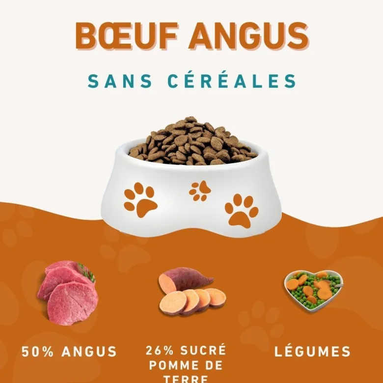 Wildfang® adult nourriture sèche au bœuf angus - sans céréales - 2 x 6 kg